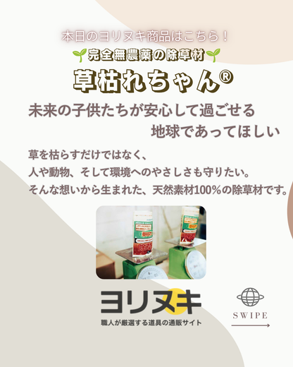 フィールドソルト草枯れちゃん5kg×4袋入り （多孔質セラミック・天然ソルト）