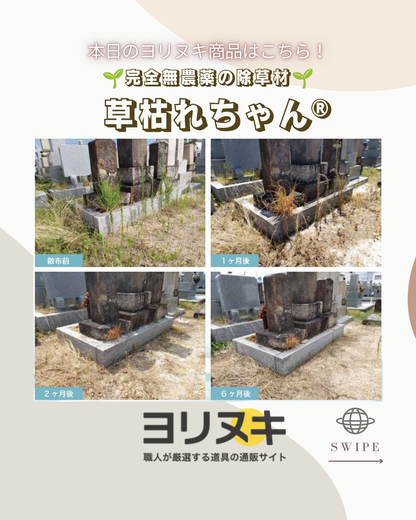 フィールドソルト草枯れちゃん5kg×4袋入り （多孔質セラミック・天然ソルト）