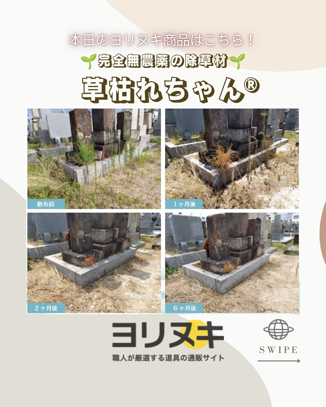 フィールドソルト草枯れちゃん1kg×18袋入り （多孔質セラミック・天然ソルト）
