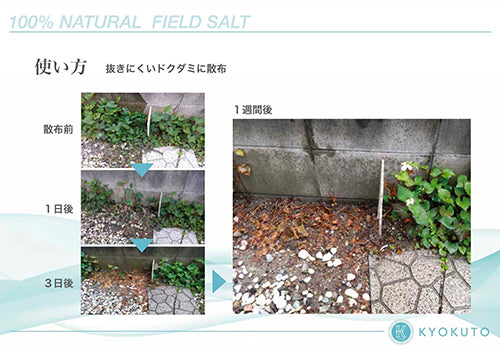 フィールドソルト草枯れちゃん1kg×18袋入り （多孔質セラミック・天然ソルト）